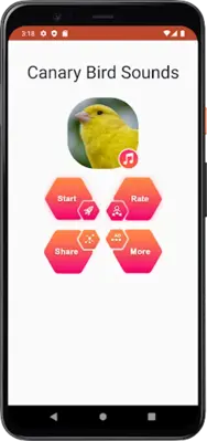 Canary Bird Sounds android App screenshot 2