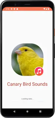 Canary Bird Sounds android App screenshot 3